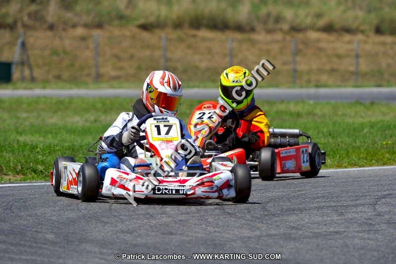 DSC_ (1469).jpg